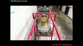 Wolfcarius Fruit - Pears grading installation