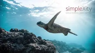 SimpleXity Podcasts - Finding Clarity in Complexity