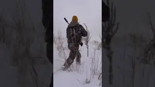 Hunting Mule Deer with Suppressor