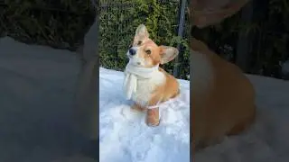 Tiny Ugg found 😱🔥