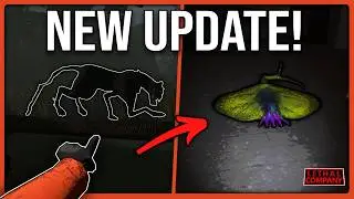The Official v80 Update Guide!