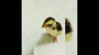 Урок добра и милосердия ❤️