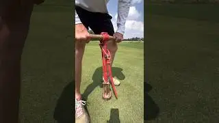 Oddly Satisfying 👉🏼 Trickshot