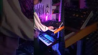 Playing around with my new synth setup! #ambient #electronicmusic #80smusic #music #dronemusic
