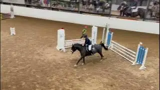Sparkling Diamond - Final Show 2023