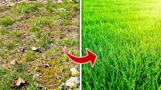 Rasen neu anlegen ohne umgraben – Anleitung / Tipps / Alten Rasen neu machen / erneuern