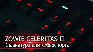 Обзор ZOWIE CELERITAS II - Клавиатура для киберспорта