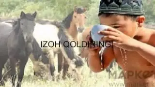 Biya suti Qimiz ✿❀Бия сути Қимиз