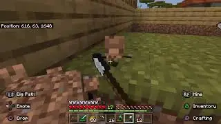 Live Minecraft With viewers