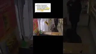 27 июня 2023 г.