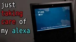 just taking care of my alexa