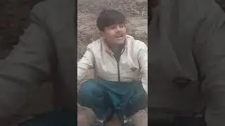 funny vidio