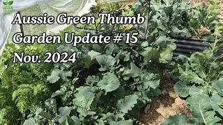 Garden Update: See What’s Growing & Learn Top Tips