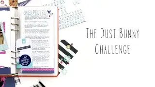 Dust Bunny Challenge with Kira