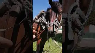 #успех
