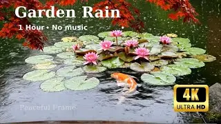 Garden Rain (1 Hour) — Flowers, Leaves & Gentle Pond Ripples (Koi Glimpses)[No Music]