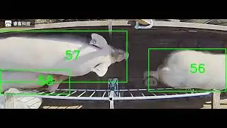 RoiEYE-2