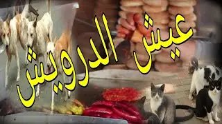 عيش الدرويش