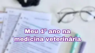 Como foi o meu 1º ano na medicina veterinária