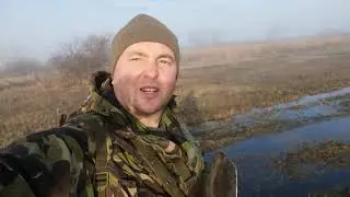 Находки Одного Копа! Раскопки в лесах и лугах Сумской области