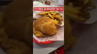 FLYING BURGER ✈️🍔