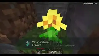 Minecraft (A life of a youtuber)