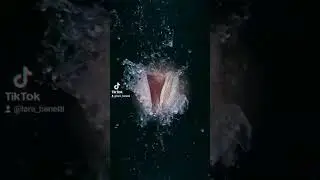 27 сентября 2023 г.