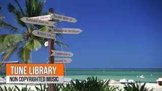 Caribbean Steel Drum Happiness -  Doug Maxwell (non copyrighted music)