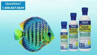 AQUA ESSENTIAL | All-in-One Water Conditioner