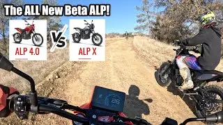First Ride ALL NEW 2025 Beta Alp 4.0 & Beta Alp X Street Legal Motorcycles, 3 Seas Recreation 