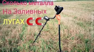 Коп металлолома| поиск на лугах, Metal Detector search