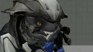 Every single halo fan