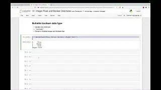10 Nullable Boolean Data Type