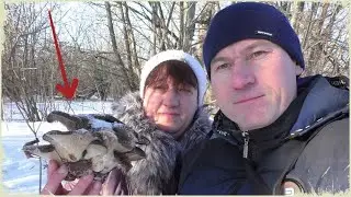 С ЖЕНОЙ ПО ГРИБЫ! Мороз снег зима А МЫ ПО ГРИБЫ!