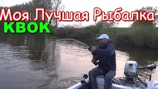 Trophy catfish fishing with a kwok. Simply dream fishing!!! An evening of wild boars.
