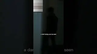 The Mysterious Case of 