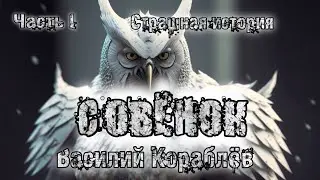 Истории на ночь. СОВЁНОК. Часть 1. Василий Кораблёв