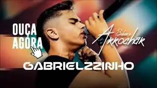 Gabrielzzinho   Beber e Arrochar   2024