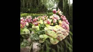 Gardens for Carmen, my mother