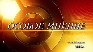 Публичная лекция "Человек и государство: приоритеты устойчивого развития". Особое мнение.