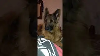 🥰😍😘
