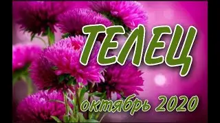 ТЕЛЕЦ ♉ ОКТЯБРЬ 2020 🍁 ТАРО ПРОГНОЗ 
