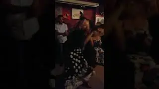 Fin de Fiesta FlamencoEsencia live flamenco Sevilla