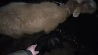 31 января 2021 г.