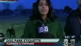 Sit Means Sit Dog Training in the News Episode 2