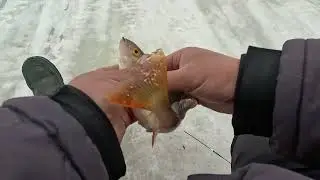 закрытие сезона