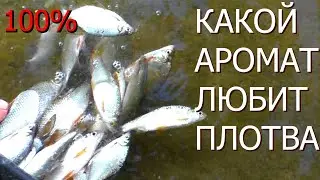 На что Клюет Плотва? на что Ловить Плотву ОСЕНЬЮ на Реке Днестр? Ловля Плотвы Фидером на Днестре!