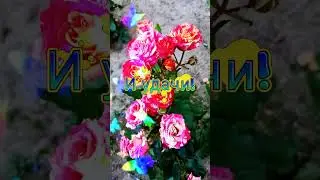 С добрым утром!