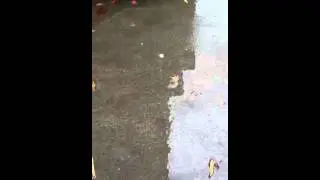 Cobb county thunderbolt 1000 tornado warning
