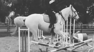 1 girl 1 horse